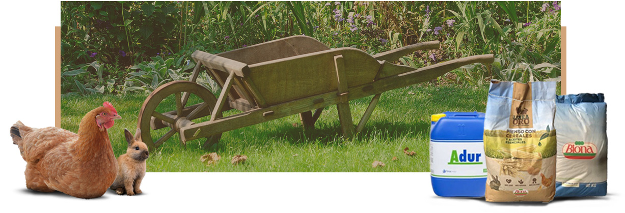 NOSOTROS TE ASESORAMOS